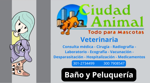 vet-ciudaani.png